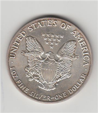 USA 1989  American Eagle Silver Dollar    