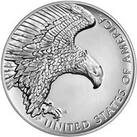 2019 American Liberty High Relief Silver Medal